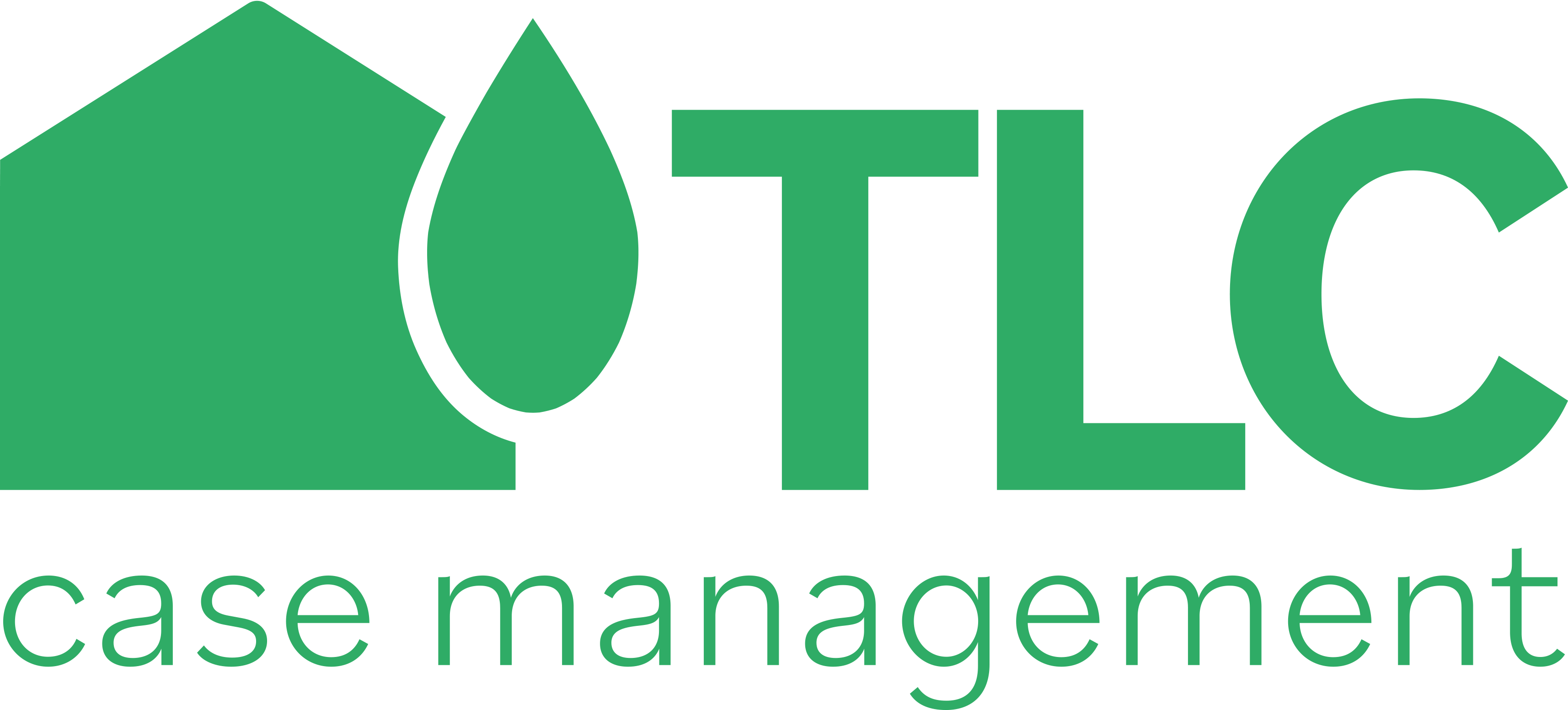 TLC Case Management