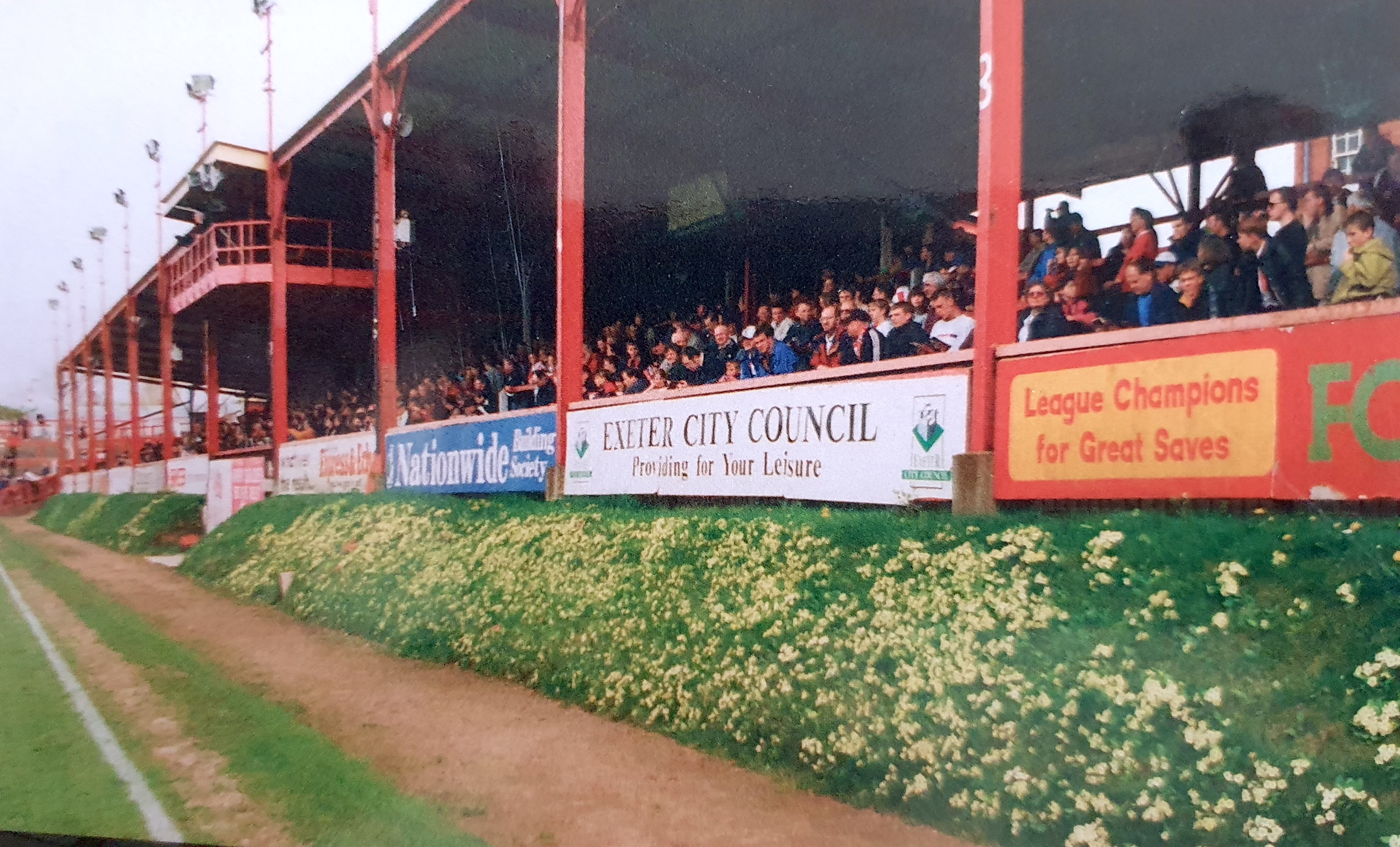 Primroses at SJP