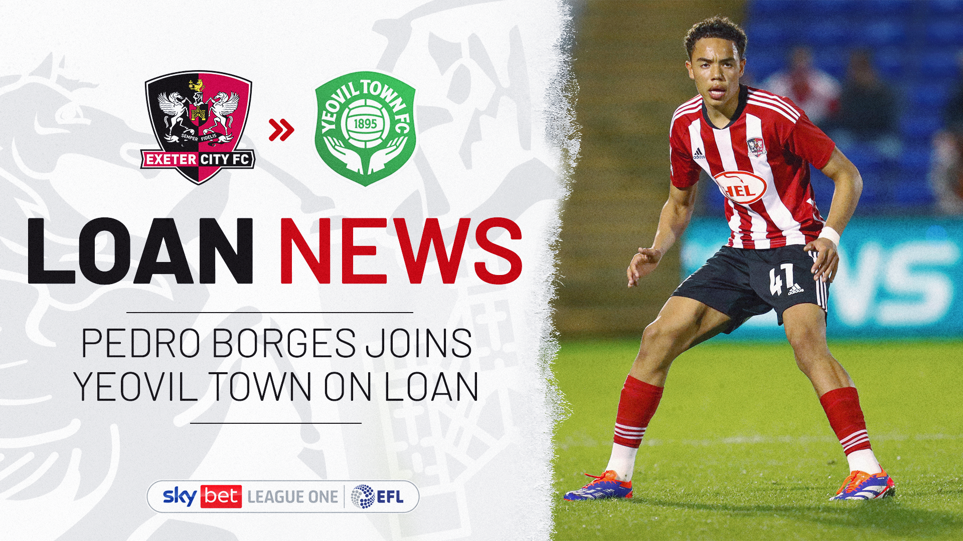 Pedro Borges loan