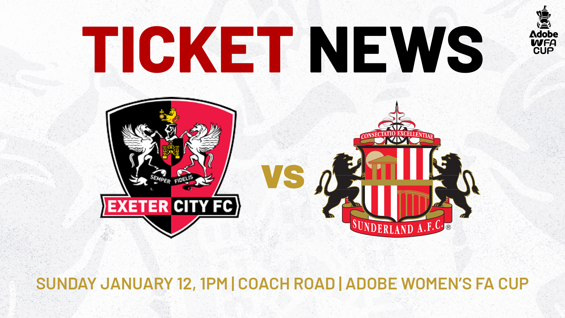 Ticket News graphic for Exeter City Women v Sunderland Women in the Adobe Women's FA Cup. Sunday 12 January, 1pm, Coach Road.