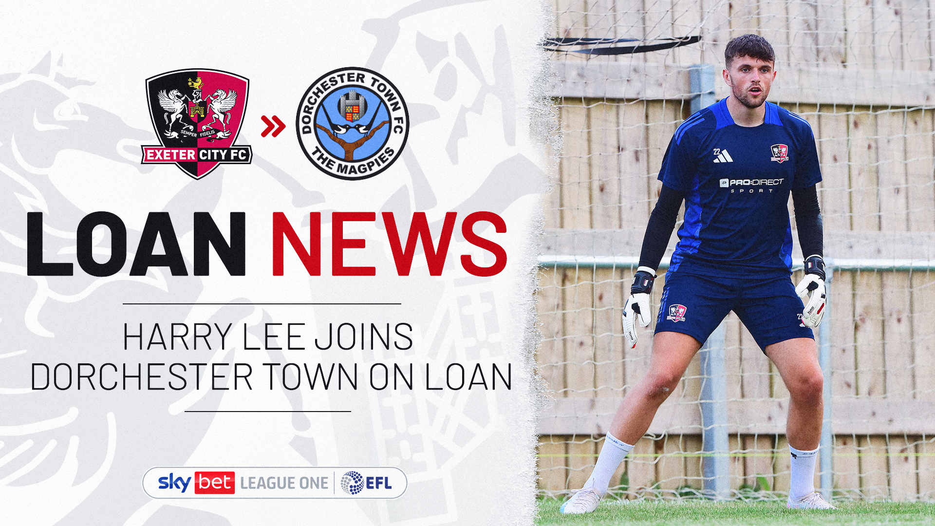 Harry Lee joins Dorchester