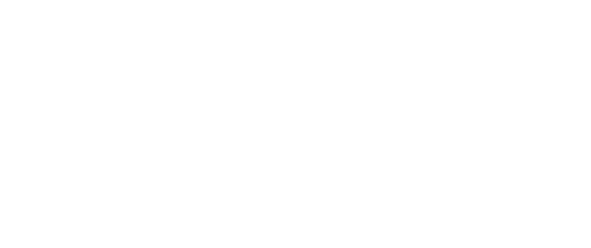 Switch Car Rental