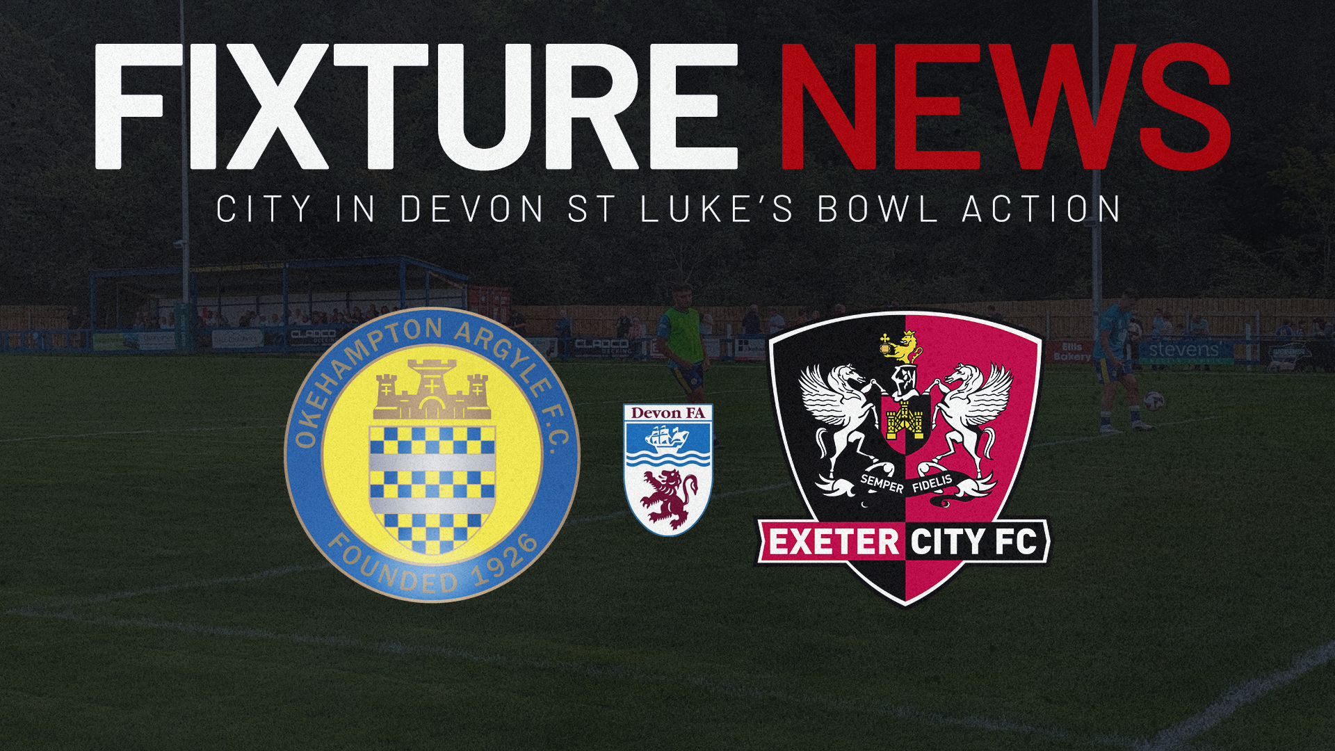Devon St Lukes Bowl
