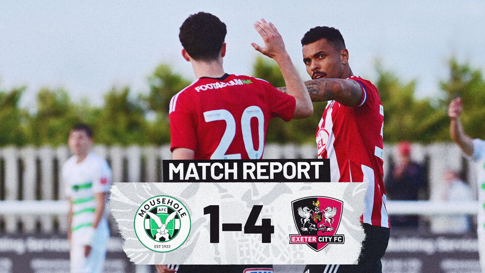 Mousehole Report image