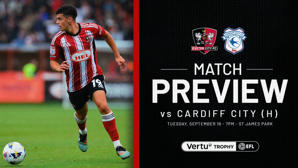 Preview Cardiff City
