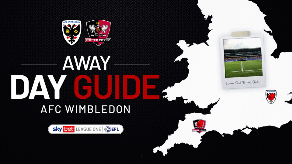 AFC Wimbledon Guide