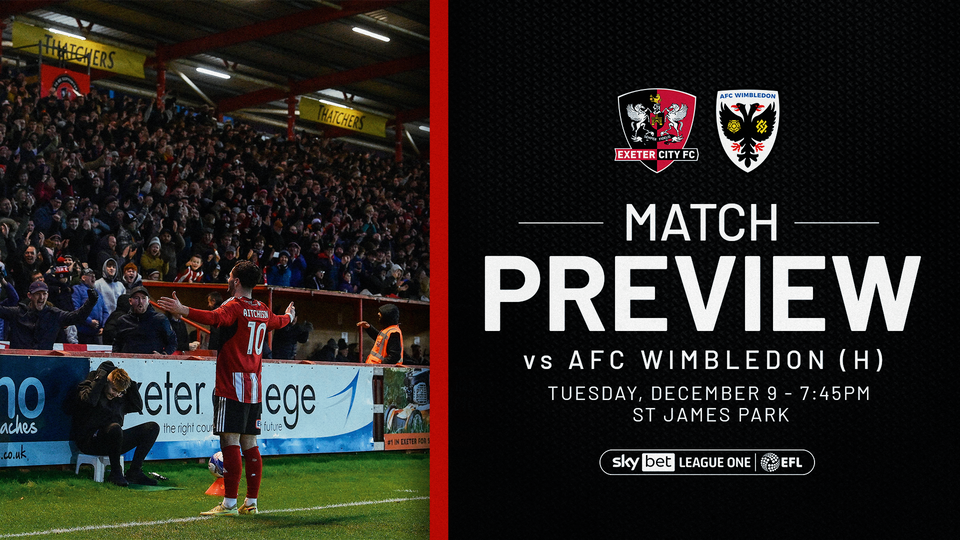 AFC Wimbledon preview