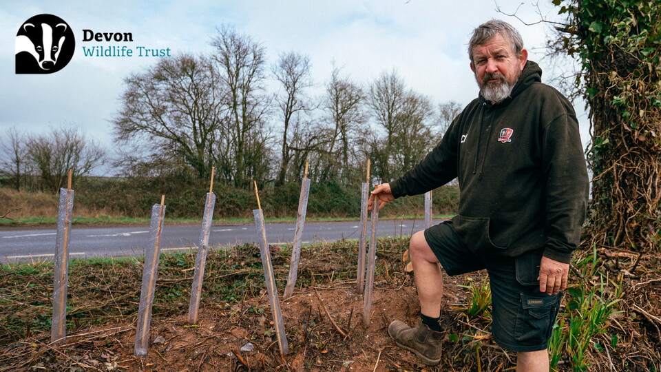 Chaz Trees from Devon Wildlife Trust