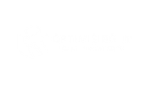 Optimising IT